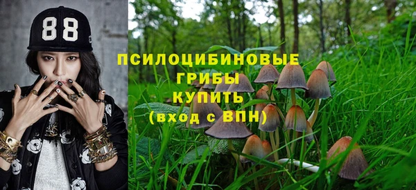 амф Бежецк