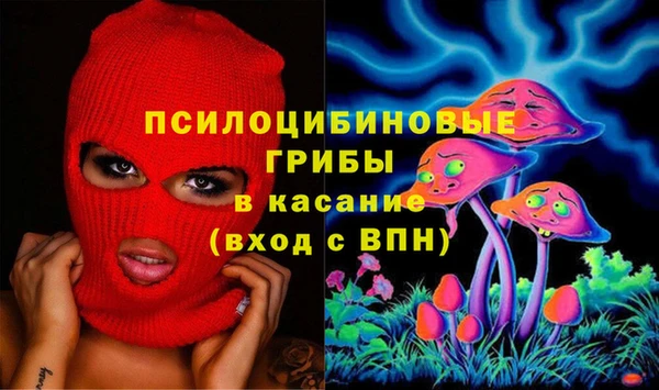 крисы Нефтегорск