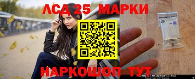 индика Гагарин