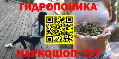 кокс Гай
