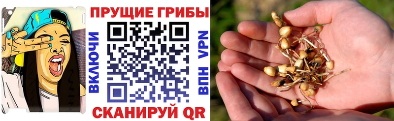 Галлюциногенные грибы Magic Shrooms  Лабытнанги 