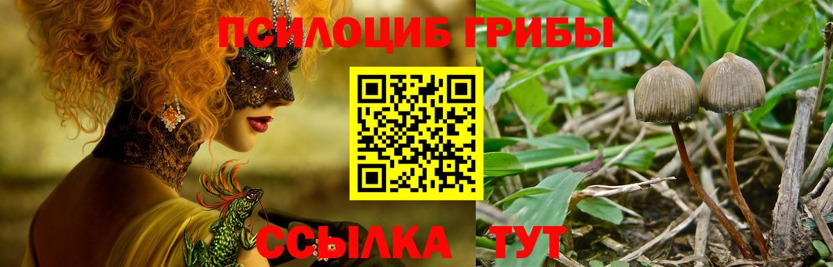 Галлюциногенные грибы Psilocybine cubensis  Вход с VPN  Лабытнанги 